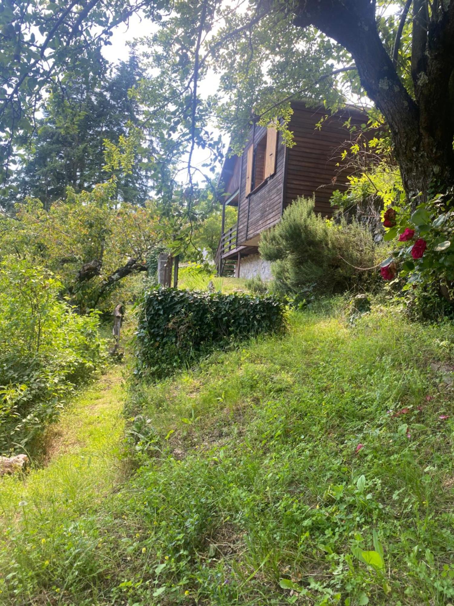 Chalet Les Accacias Vocance Экстерьер фото